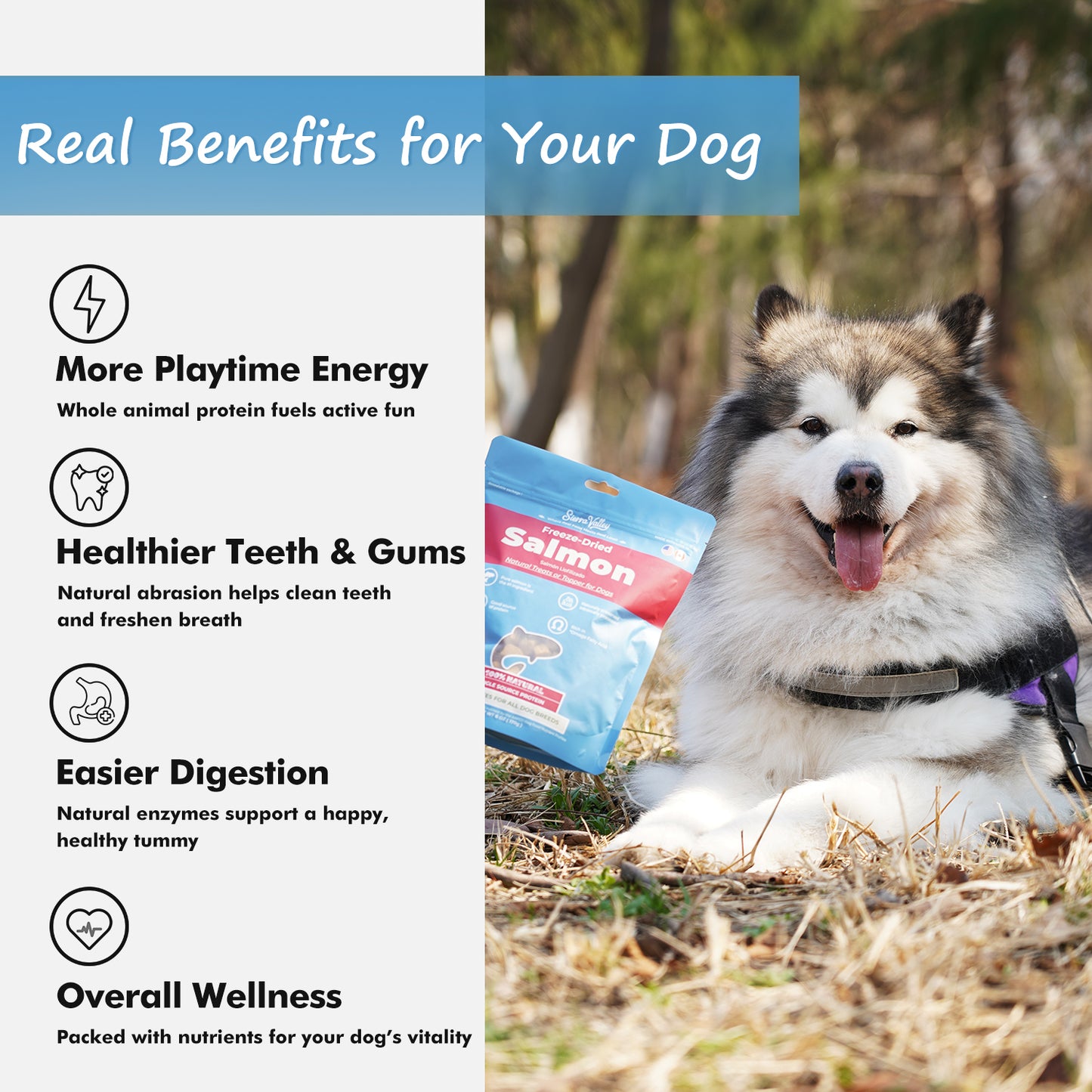 Sierra Valley Freeze-Dried Dog Treat - Salmon Flavor