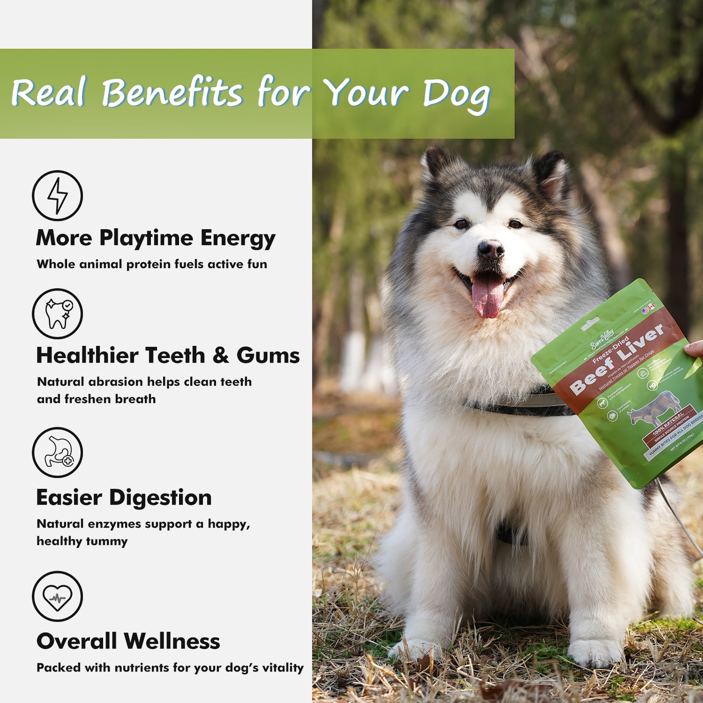 Sierra Valley Freeze-Dried Dog Treat - Beef Liver Flavor