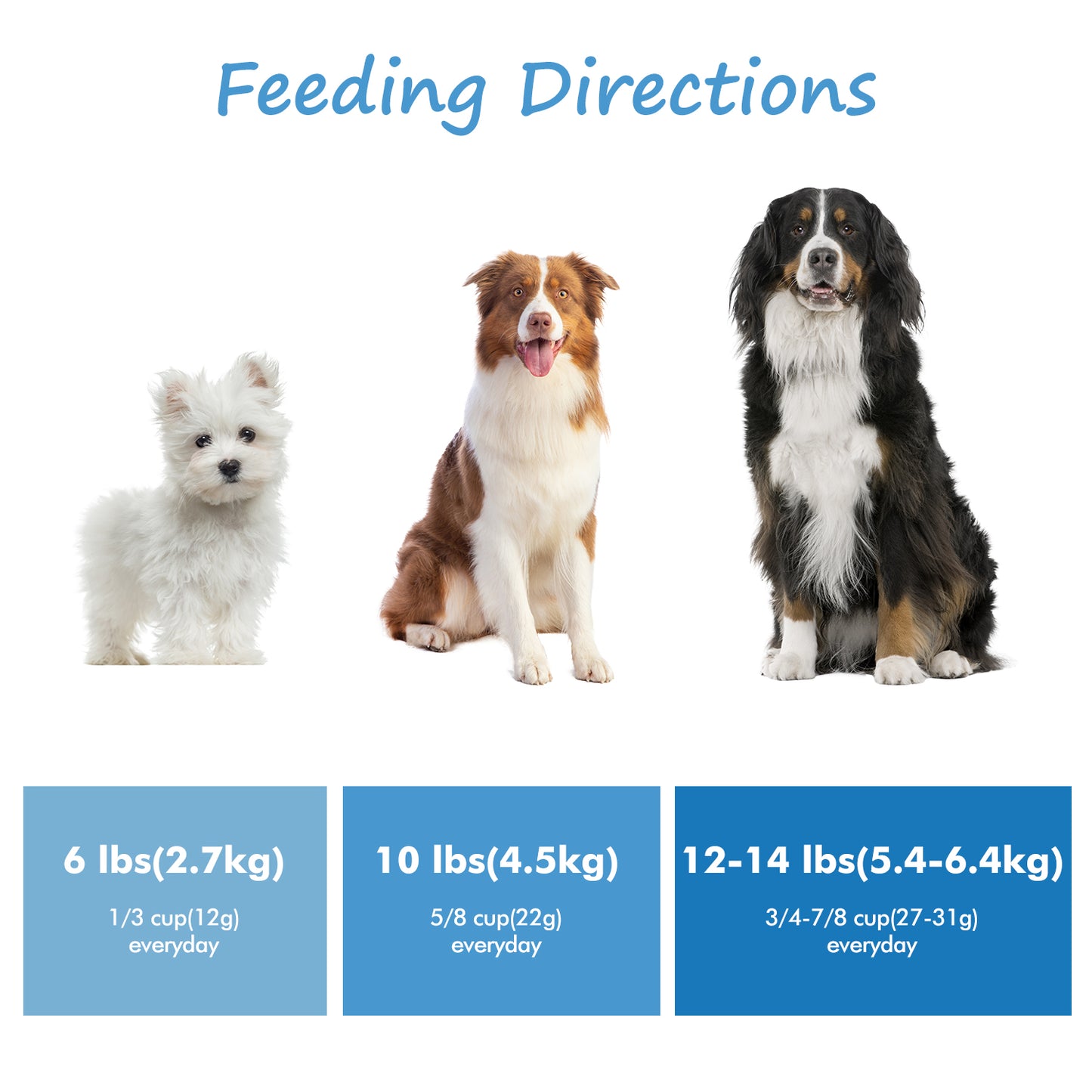 Sierra Valley Freeze-Dried Dog Treat - Salmon Flavor