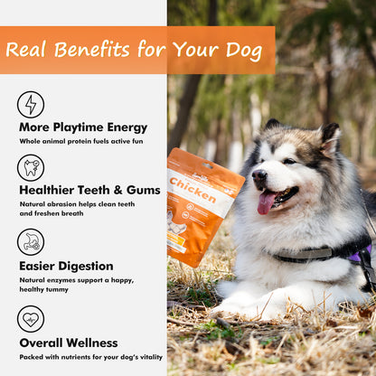 Sierra Valley Freeze-Dried Dog Treat - Chicken Flavor